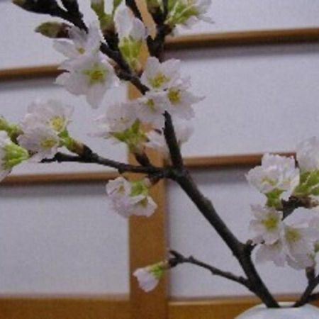 Wakaba Ryokan / Vacation Stay 29370 Саката Екстер'єр фото